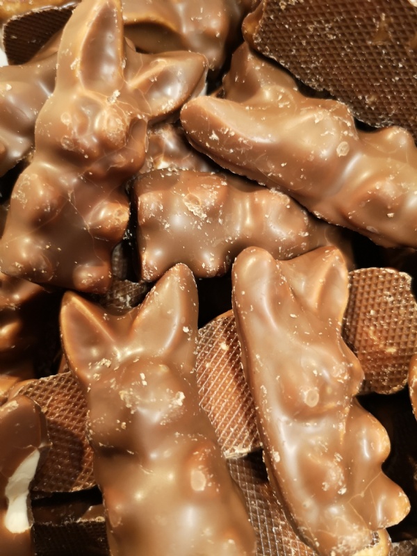 Choko hare