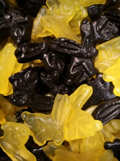 P�skkanin