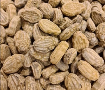 Salta grodor