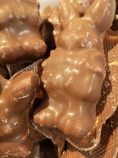 Chokladskum hare