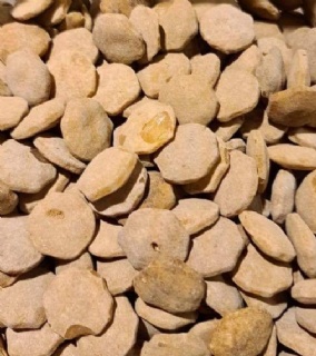 Salta l�v