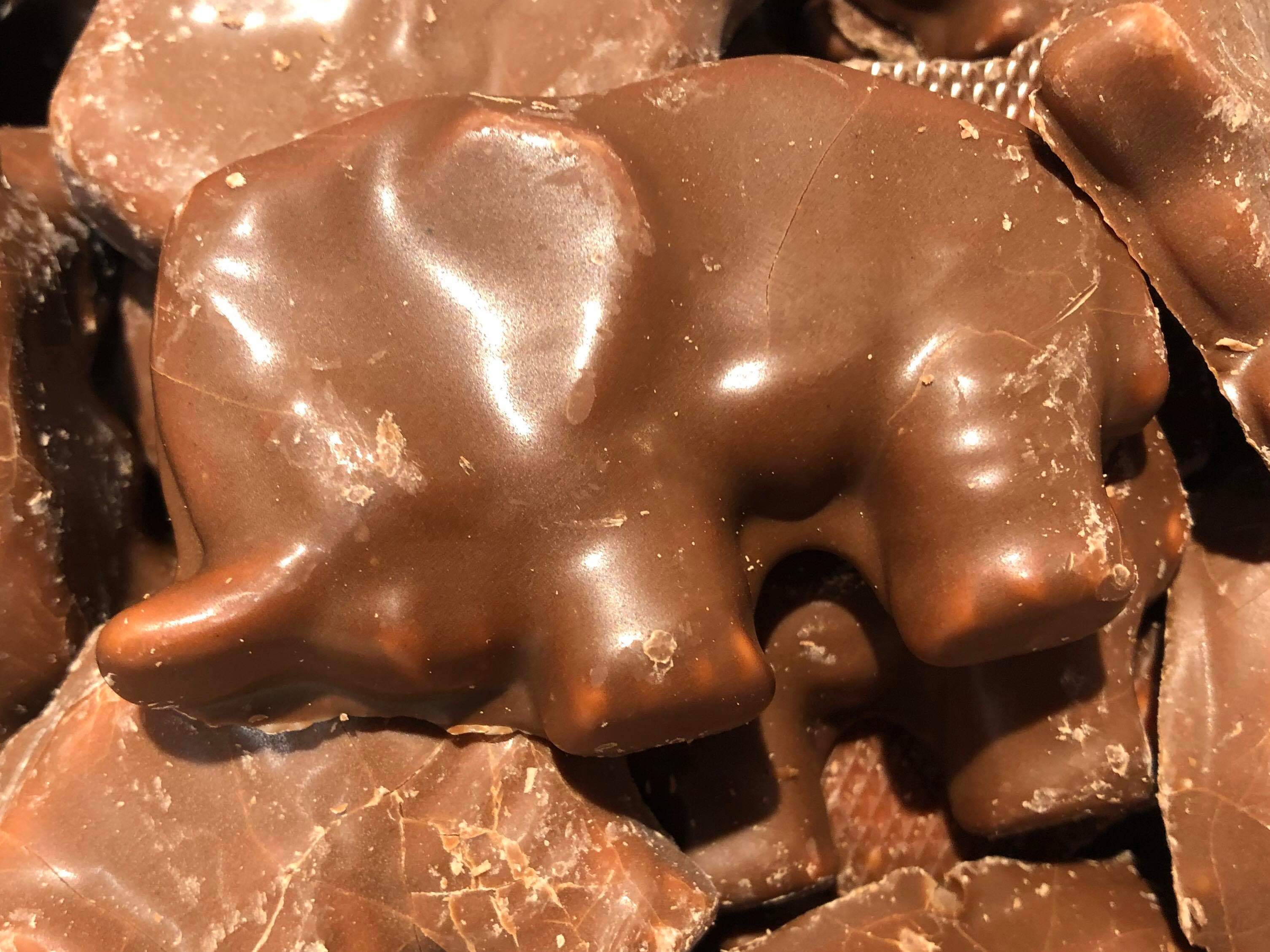 Chokladelefant