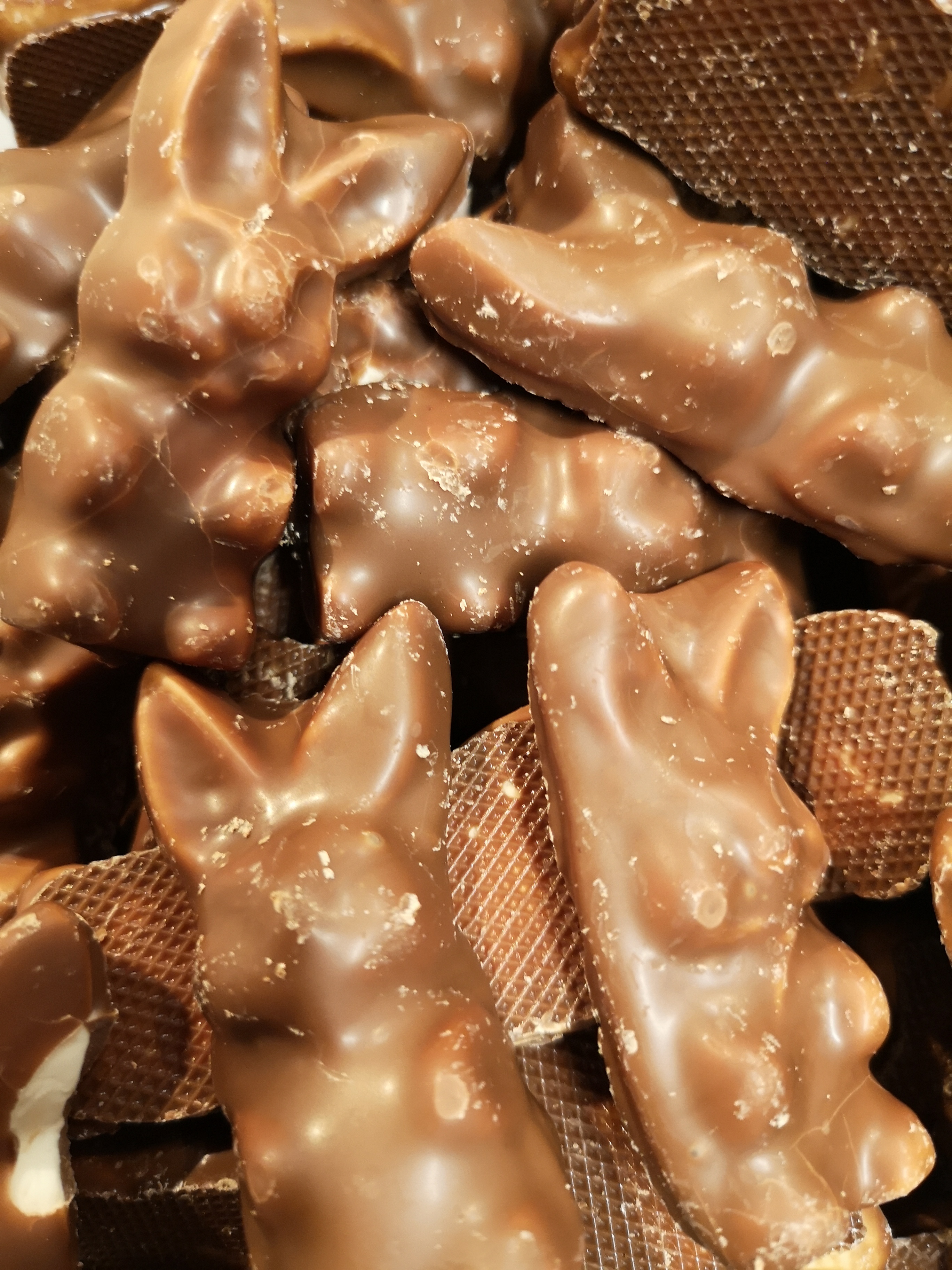 Choko hare