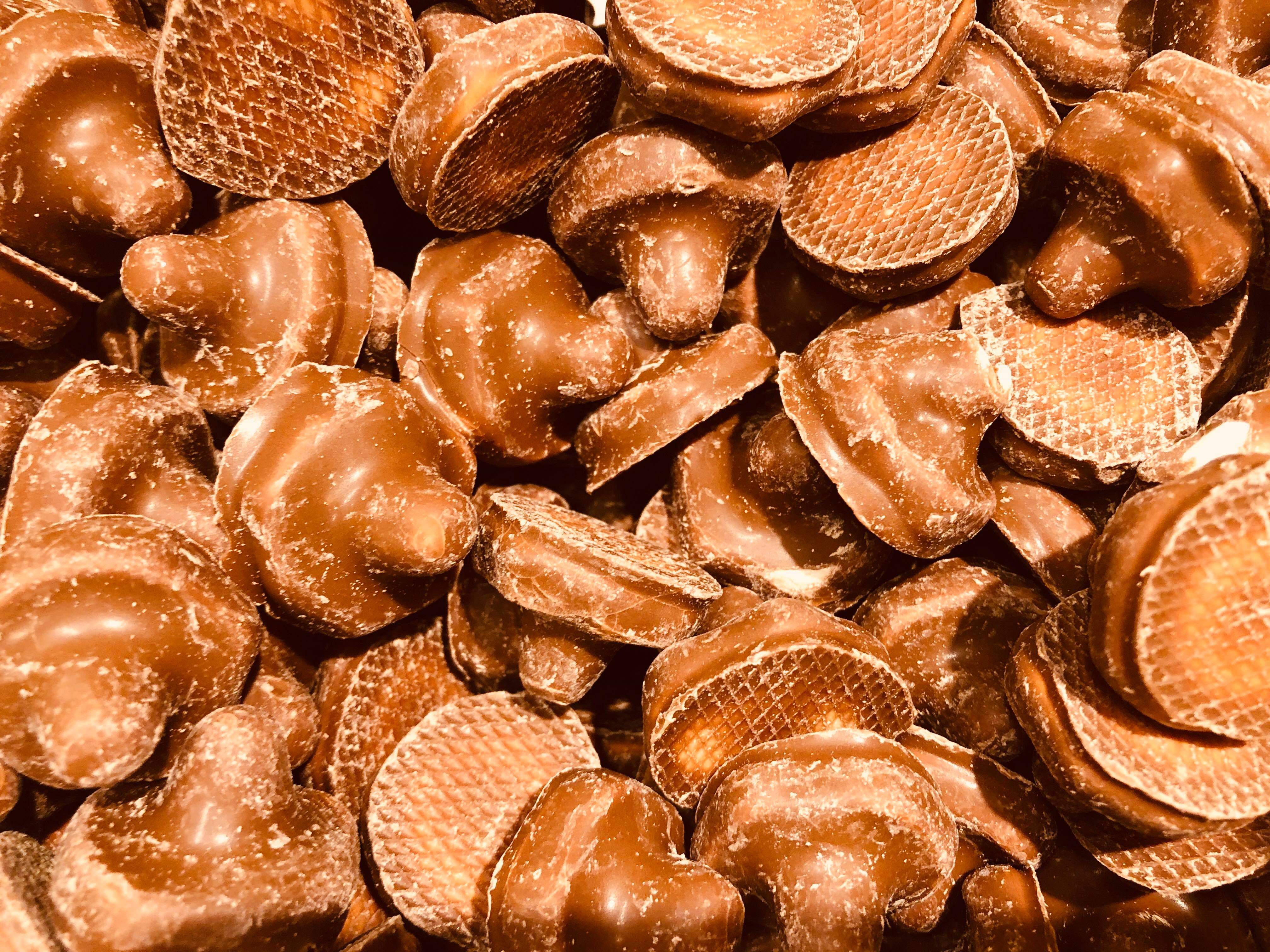 Svampar choklad
