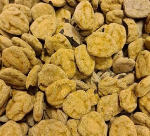 Salta grodor